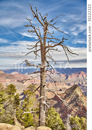 morning light sunrise at Grand Canyon, Arizona USA 30122323