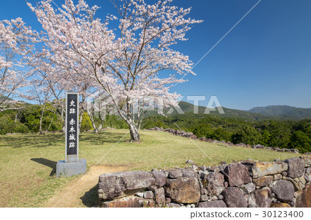 Akagi Castle Ruins of Spring Akagi Castle Ruins of Spring 30123400