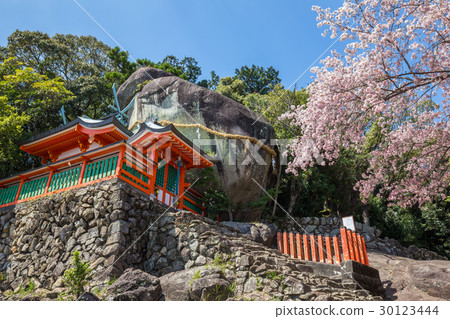 Spring Kamikura Shrine 30123444