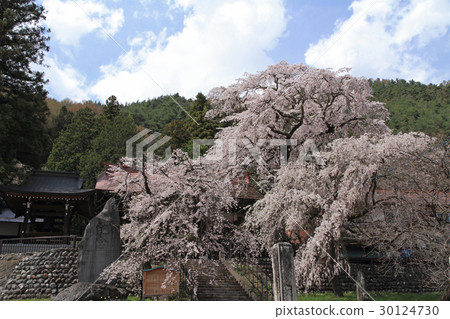 松本市Azusakawa Mahikari-ji寺 松本市Azusakawa Mahikari-ji寺 30124730