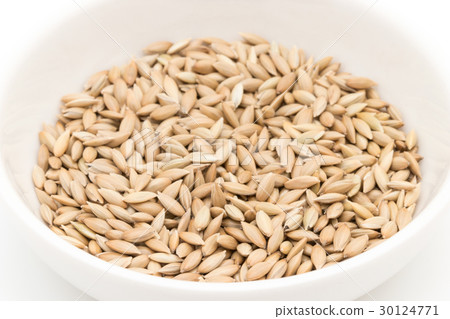 Canary seed: Canary seed 30124771
