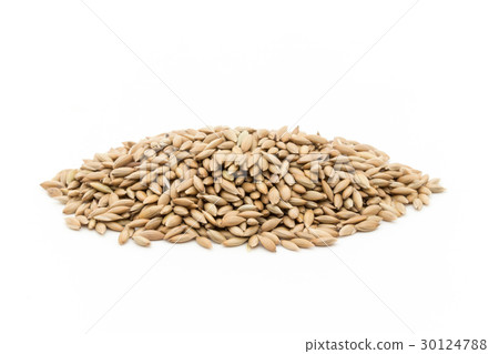 Canary seed: Canary seed 30124788