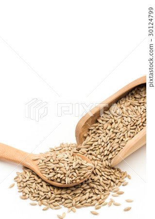 Canary seed: Canary seed 30124799
