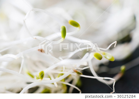 fresh sprouts fresh sprouts 30125284