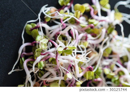 fresh sprouts fresh sprouts 30125744
