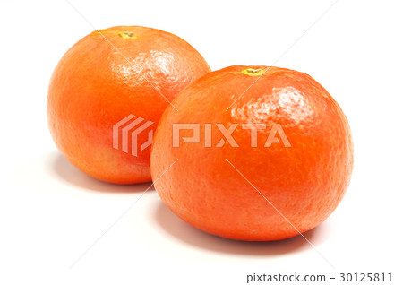 Seminole (citrus fruits) Mie-Nanki Cross - Duncan Mating with grapefruit and danshi tanselin - Country of origin America 30125811