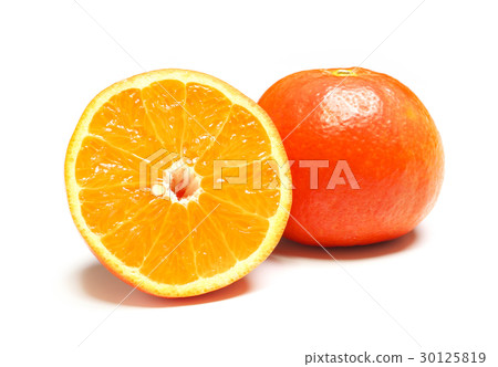 Seminole（柑橘類水果）Mie-Nanki Cross  -  Duncan與葡萄柚和danshi tanselin交配 - 原產地美國 30125819