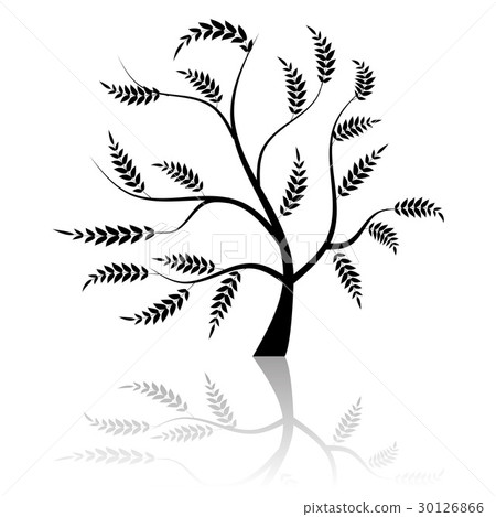 Art tree beautiful Art tree beautiful 30126866