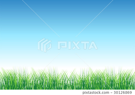 Green field on clear sky 30126869