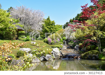 Kyoto Myoshinji Retirement Garden Kyoto Myoshinji Retirement Garden 30127413