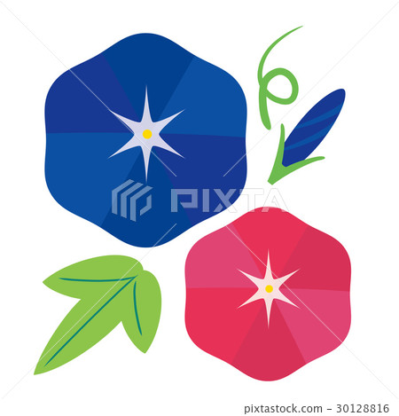 Morning glory icon Morning glory icon 30128816