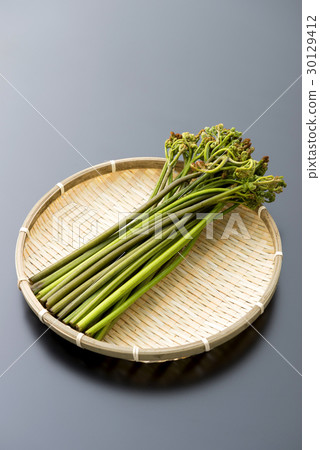 Bracken 30129412