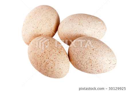 four turkey eggs isolated on white background 30129925