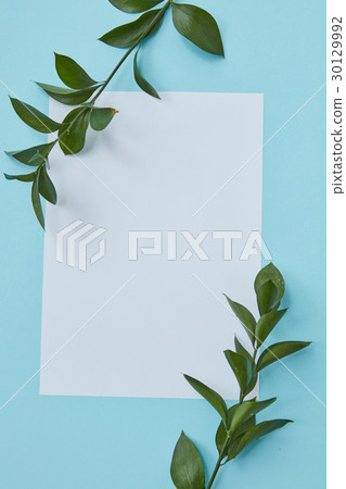 Green twigs covering blank copy space Green twigs covering blank copy space 30129992