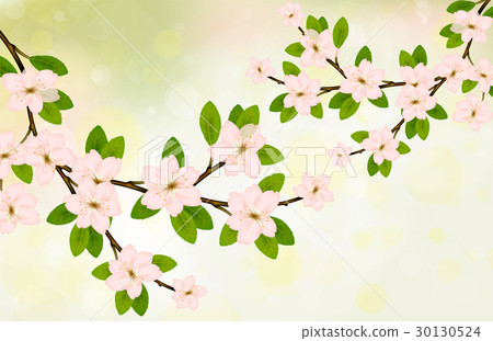 Blooming branch with pink spring blossom. Blooming branch with pink spring blossom. 30130524