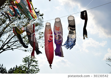 Carp streamer Carp streamer 30130542