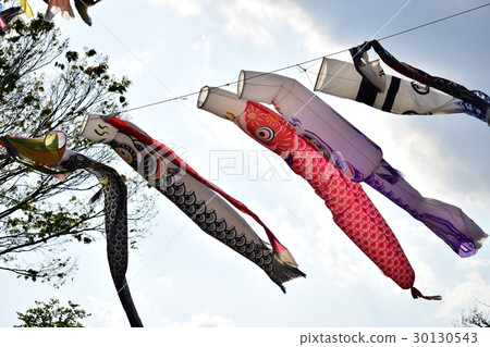 Carp streamer 30130543
