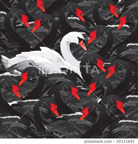white swan in black family 30131691