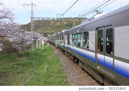 Yamanakasi station and cherry blossoms 30131942