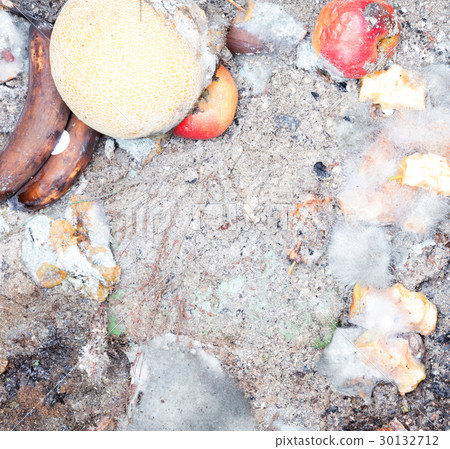 Decaying fruit in a dustbin 30132712
