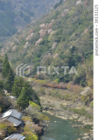 Spring Arashiyama Sagano 30133125