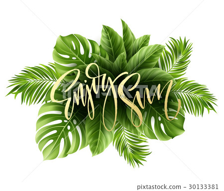 Summer poster with tropical palm leaf and 30133381