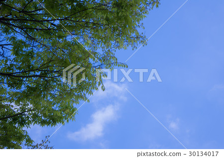 Green and sky Bonding material Green and sky Bonding material 30134017
