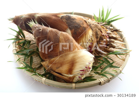 Bamboo shoots 30134189