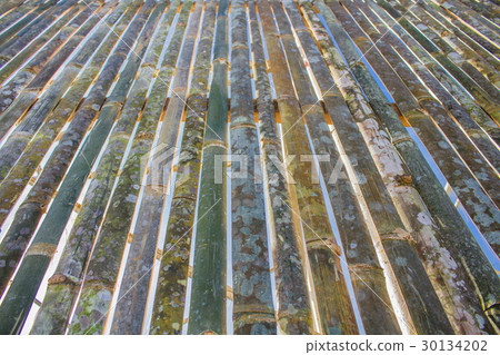 Bamboo Fence Row 30134202