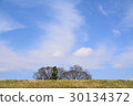 A tree that can be seen through the bank 30134372