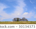 A tree that can be seen through the bank 30134373
