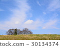 A tree that can be seen through the bank 30134374