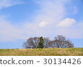 A tree that can be seen through the bank 30134426