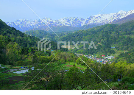 北阿爾卑斯山和新鮮的綠色 30134649