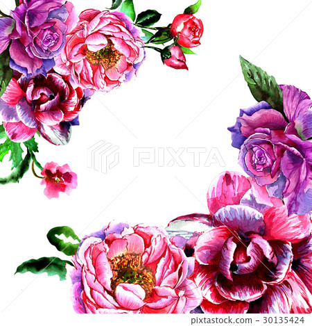 Wildflower peony flower frame in a watercolor - Stock Illustration ...