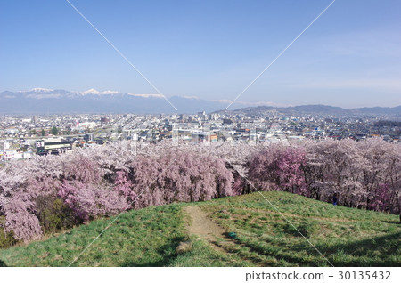 Shinshu Matsumoto的觀點來自Koborozan墳塚的觀點3世紀建築的舊墓現在是一個櫻花點 30135432