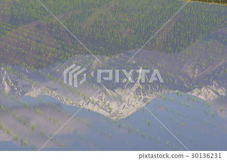 Shinshu Azumino Field反映在稻田北阿爾卑斯山Kotonoyaki金字塔形霓虹燈創世紀是Azumino的象徵 30136231