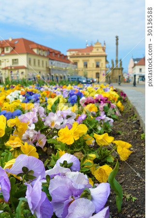 View on flowerbed on square. Czech city Podebrady 30136588
