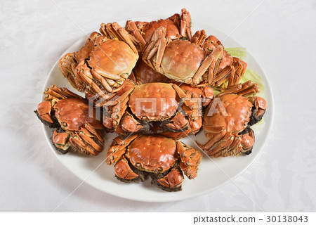 Steamed Chinese hairy crabs on plate        30138043