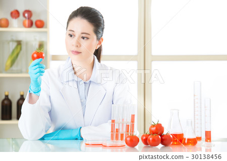 Asian female scientist looking tomato for genetic Asian female scientist looking tomato for genetic 30138456