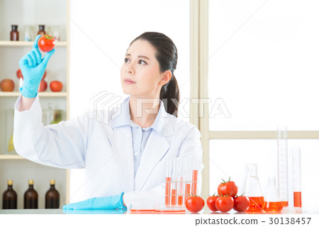 tomato genetic modification research breakthrough tomato genetic modification research breakthrough 30138457