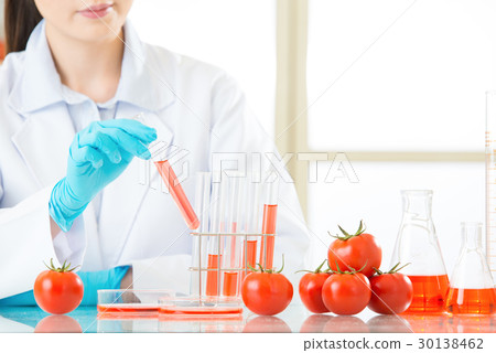 someone don't like genetic modification food someone don't like genetic modification food 30138462