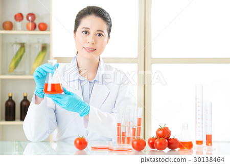 Researcher and microscope with a GMO tomato Researcher and microscope with a GMO tomato 30138464
