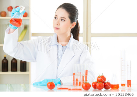 human try to make better genetic modification food human try to make better genetic modification food 30138466