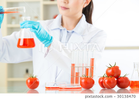 tomato biology research from asian female tomato biology research from asian female 30138470