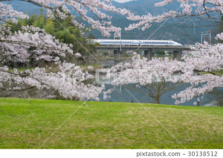 19 Cherry Blossoms of the Ayame Pond and Tokaido Shinkansen Series 700 30138512