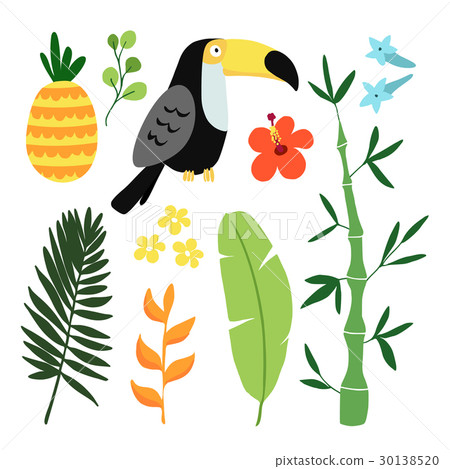 Summer tropical graphic elements. Toucan bird 30138520