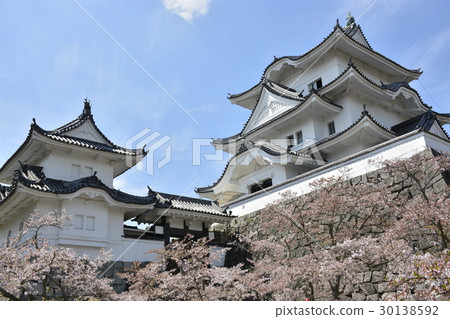 [Mie Prefecture] Spring Iga Ueno Castle 30138592