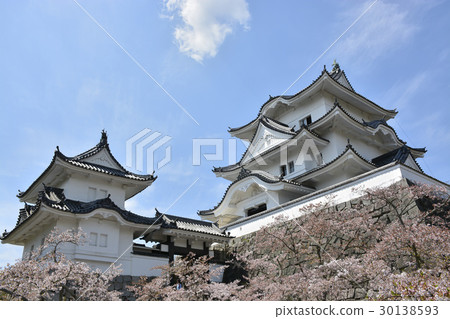 [三重縣]春伊賀上野城 30138593