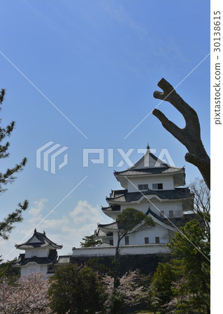 [Mie Prefecture] Spring Iga Ueno Castle 30138615